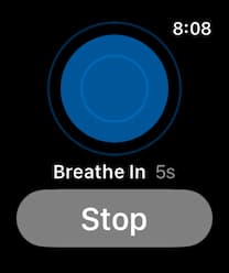 Apple Watch breathe in phase