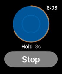 Apple Watch hold phase