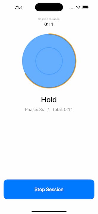 iPhone hold phase