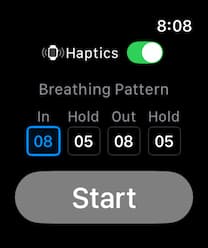 Home screen on Apple Watch