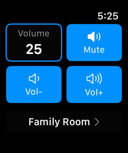 Apple Watch main menu