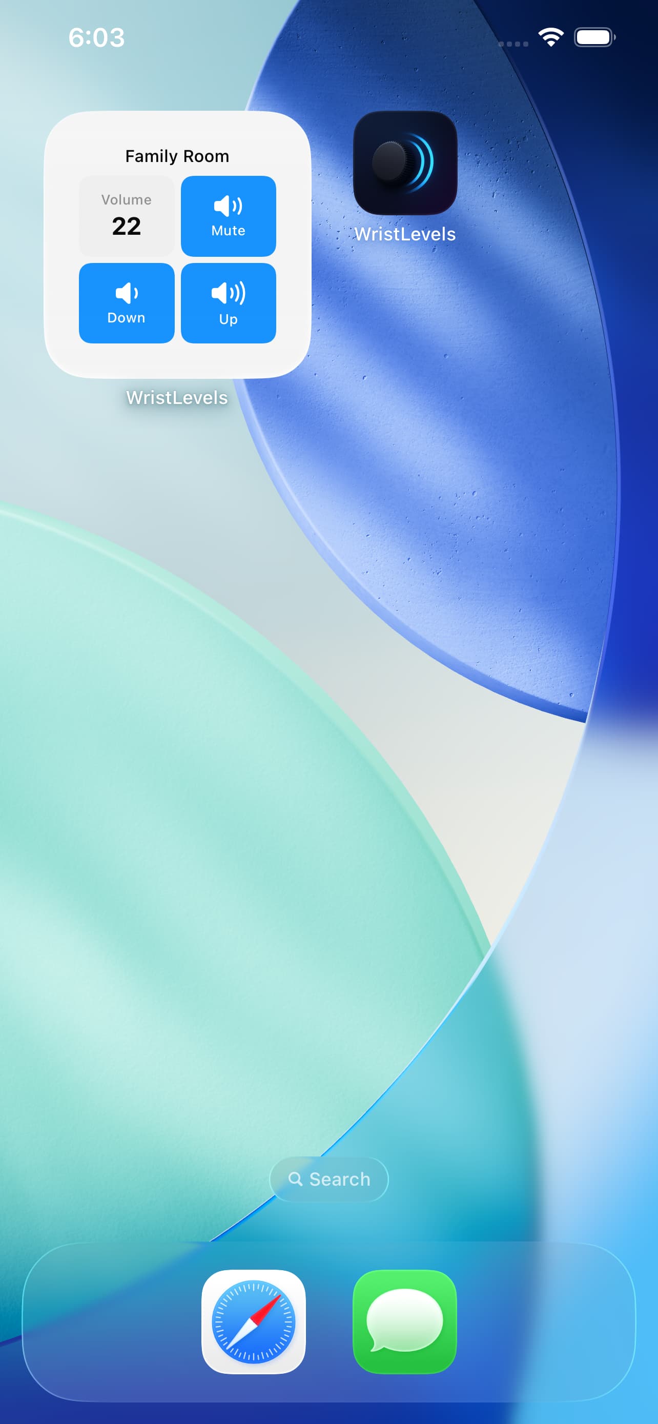 Home screen widget on iPhone